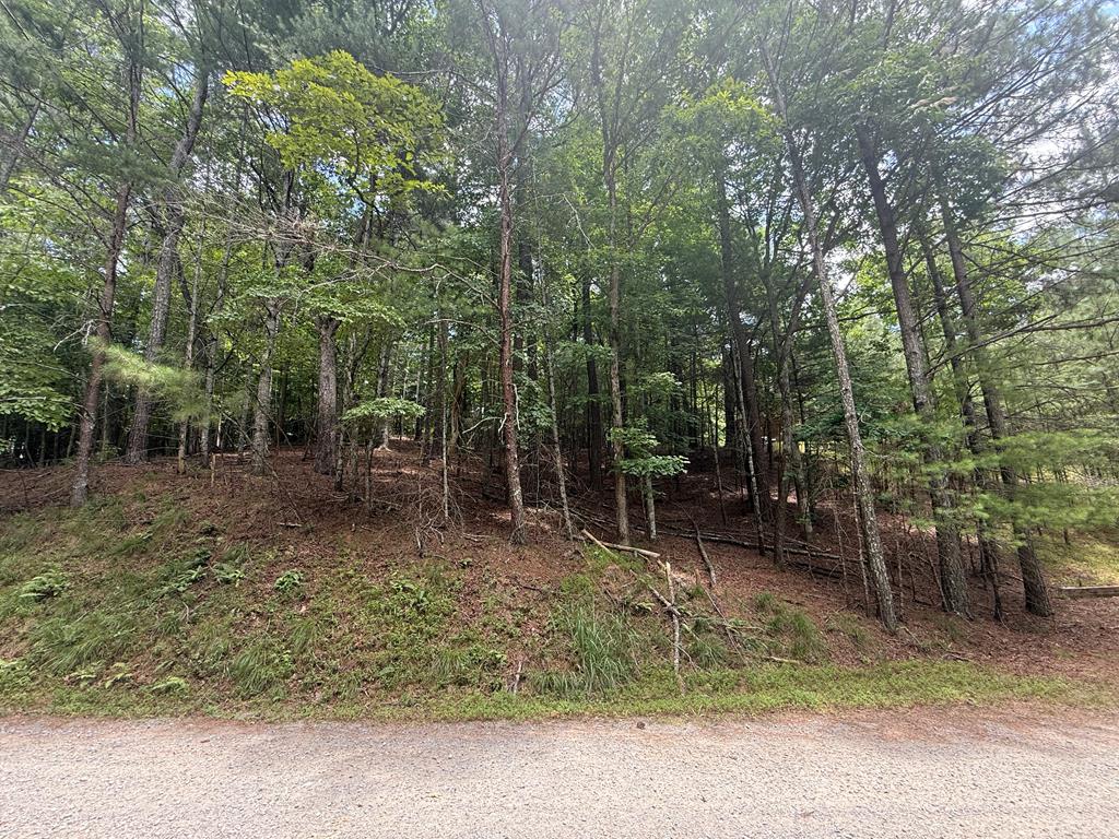 lot 1336 Lyric Lane