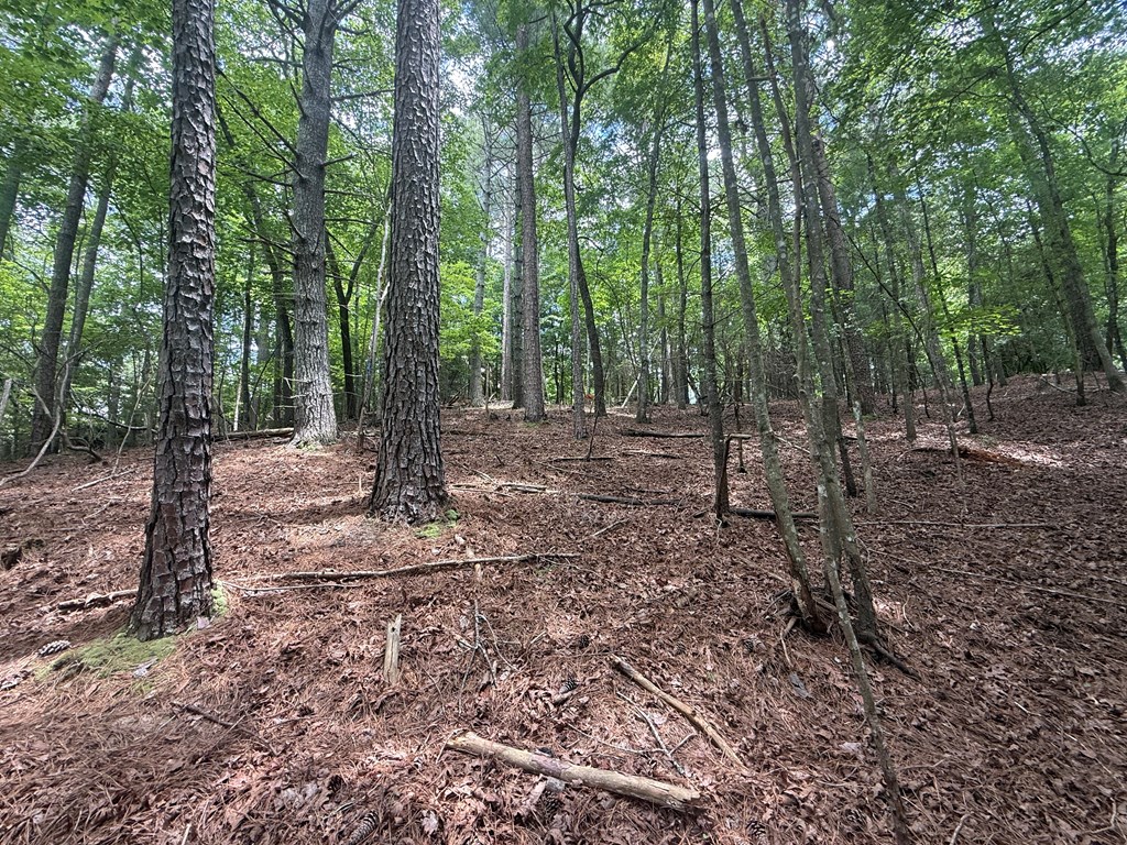lot 1336 Lyric Lane