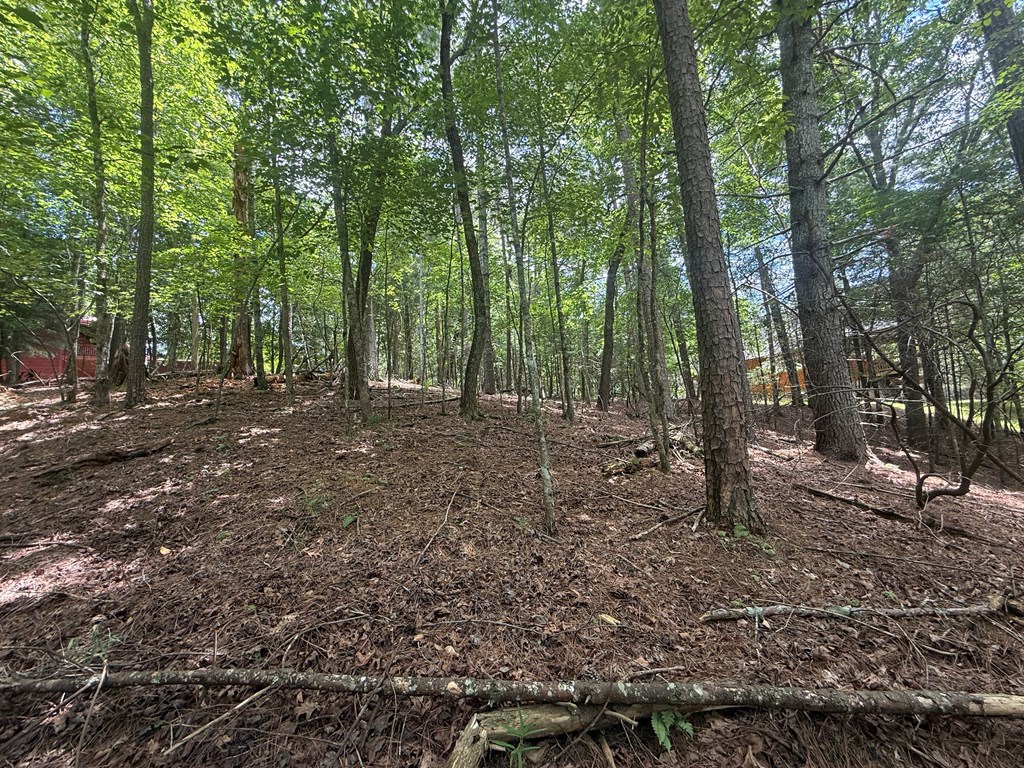 lot 1336 Lyric Lane