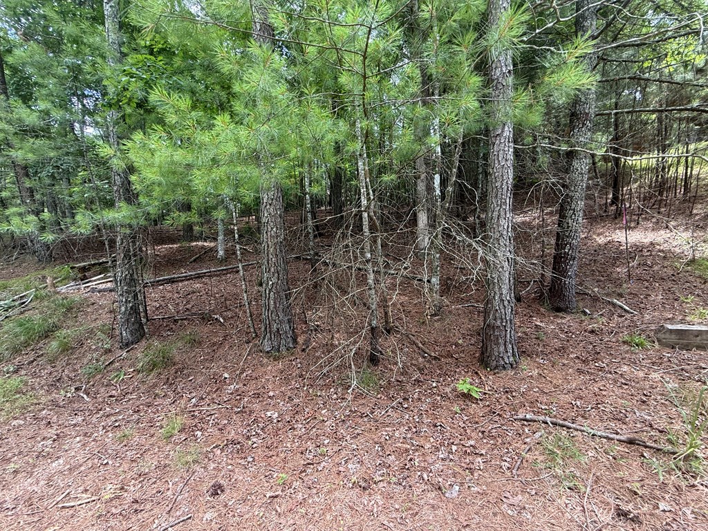 lot 1336 Lyric Lane
