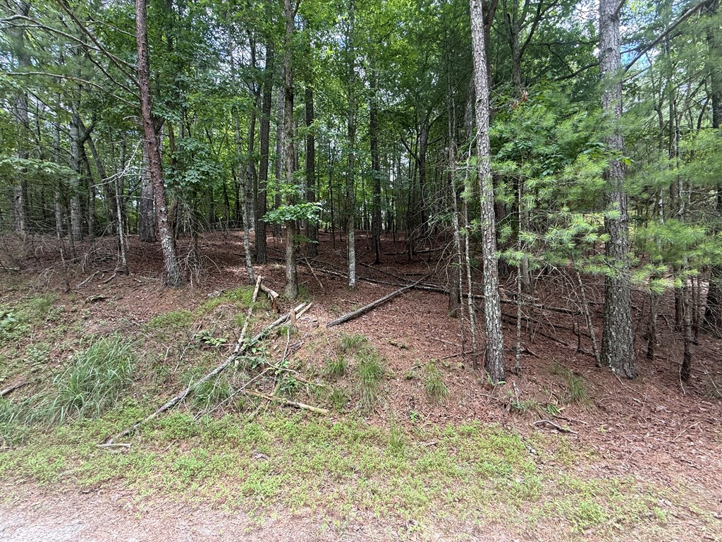 lot 1336 Lyric Lane