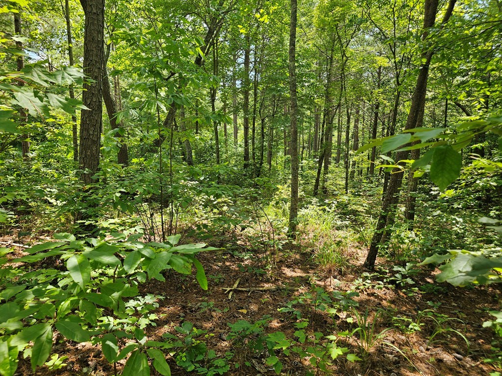 0 Harris Ridge Drive