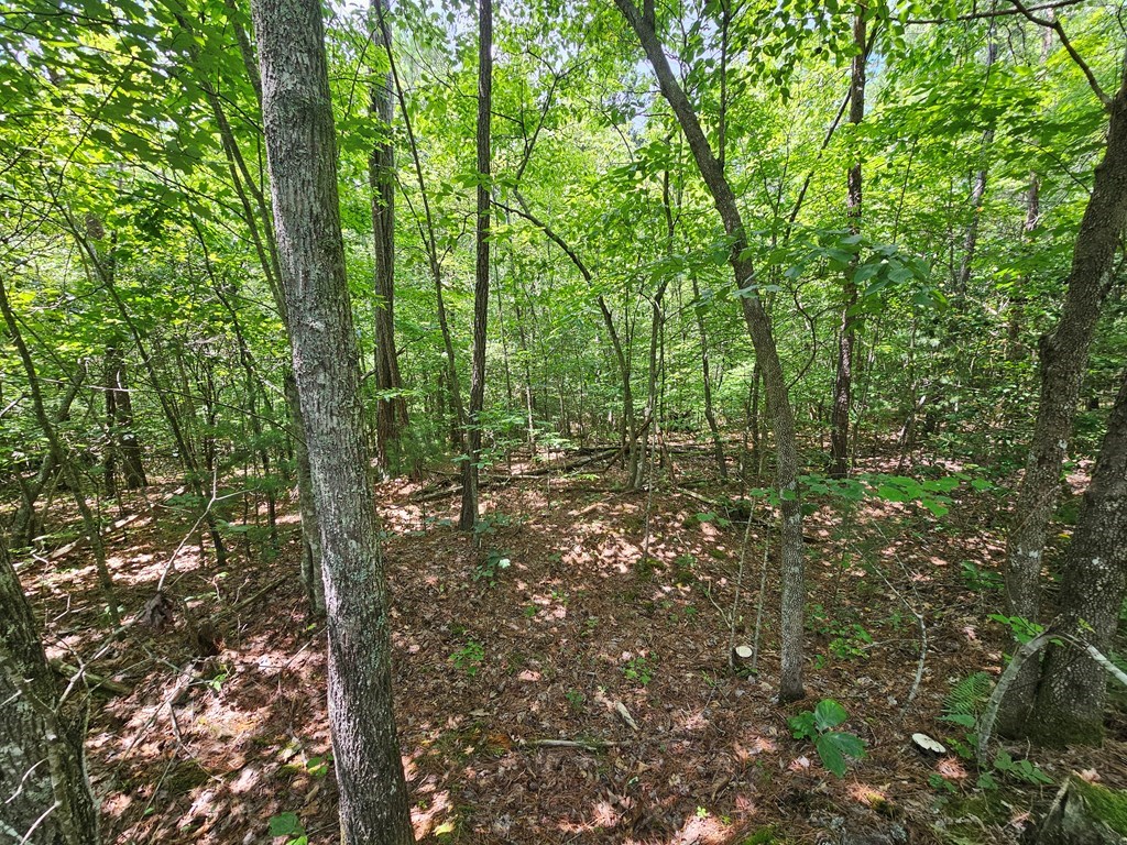 0 Harris Ridge Drive