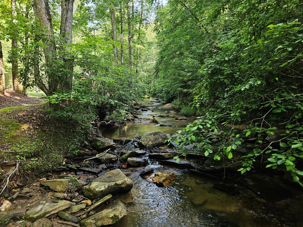 0 Harris Ridge Drive