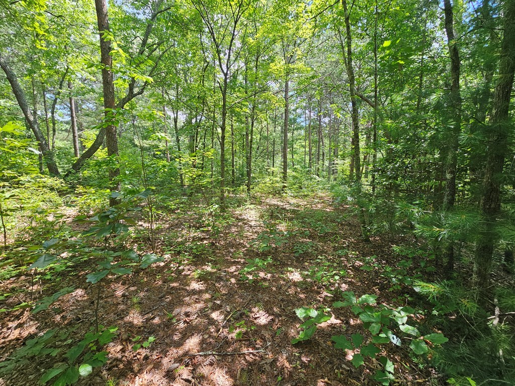 0 Harris Ridge Drive