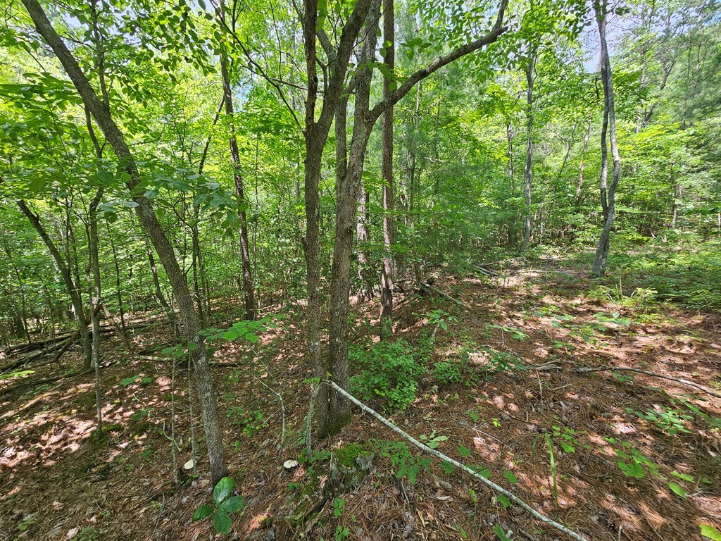 0 Harris Ridge Drive