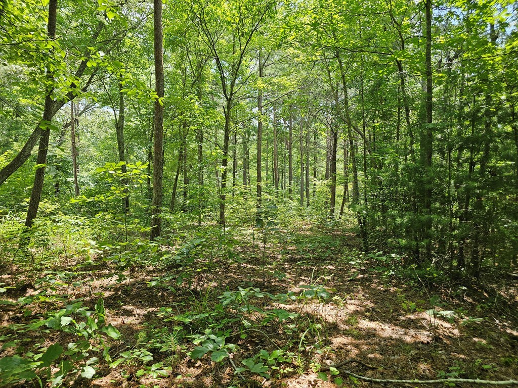 0 Harris Ridge Drive