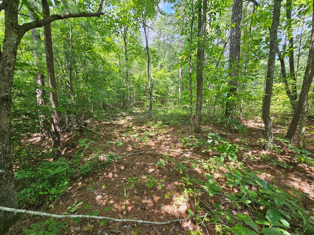 0 Harris Ridge Drive