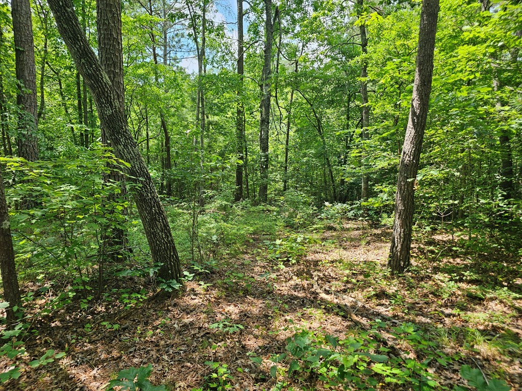 0 Harris Ridge Drive
