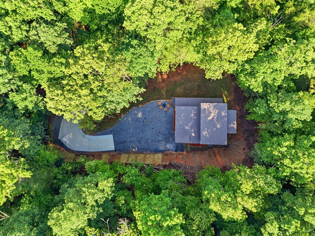 202 Jonquil Lane