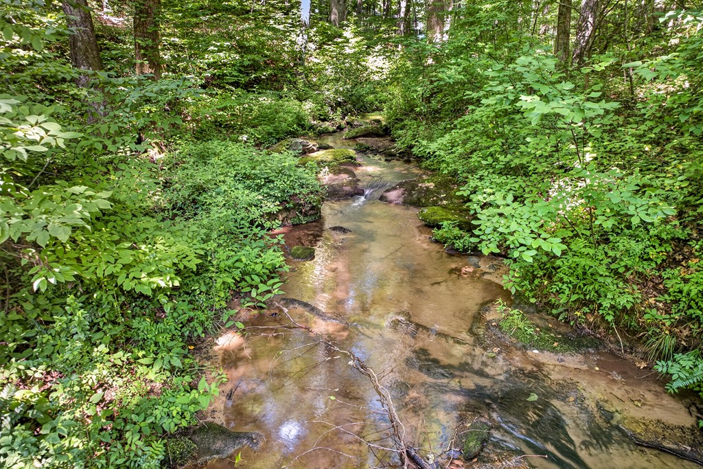 408 Mountain Creek Way