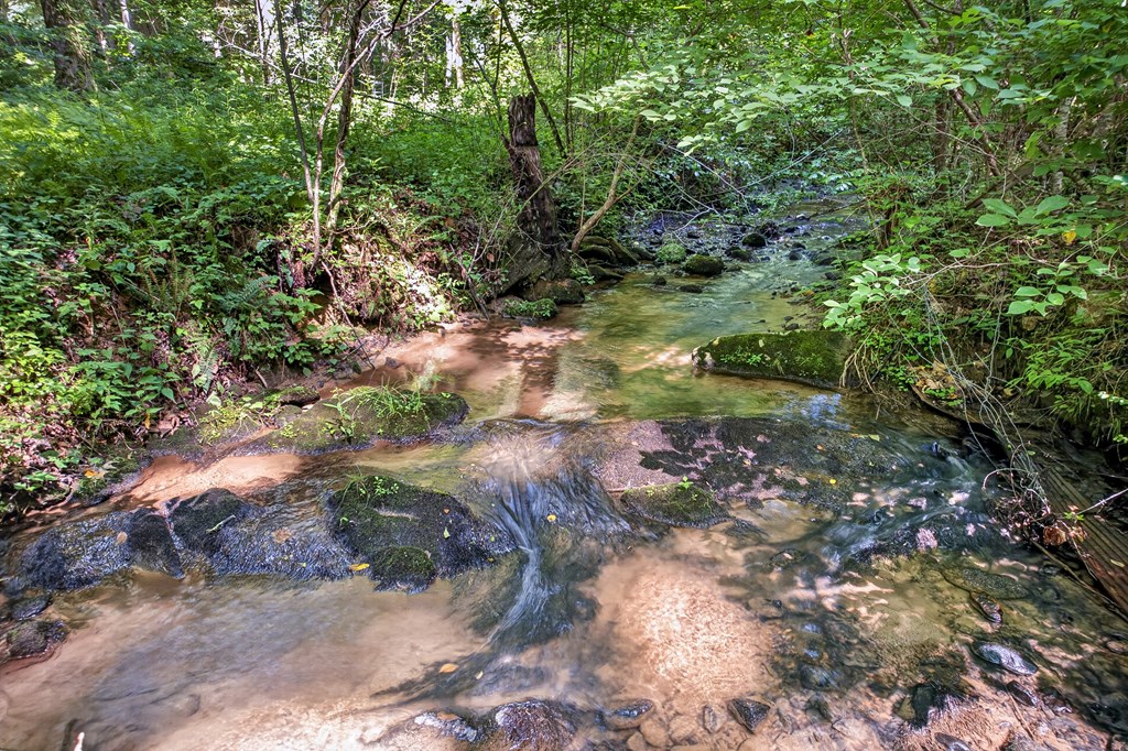 408 Mountain Creek Way