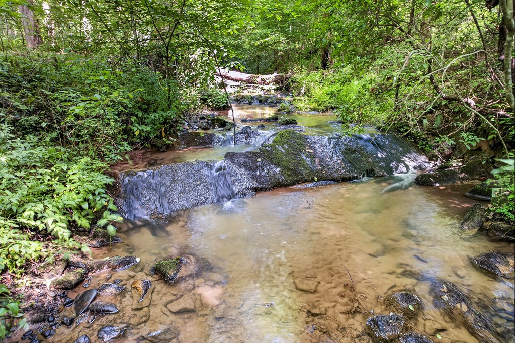 408 Mountain Creek Way