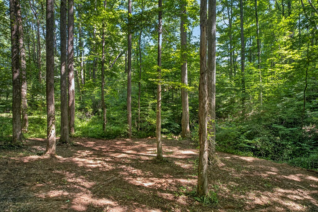 408 Mountain Creek Way