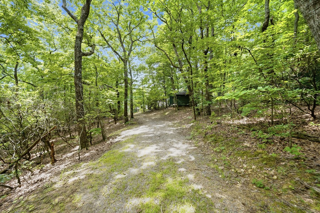714 Clearview Drive
