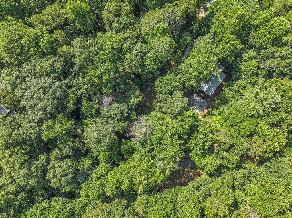 158 Bamby Lane