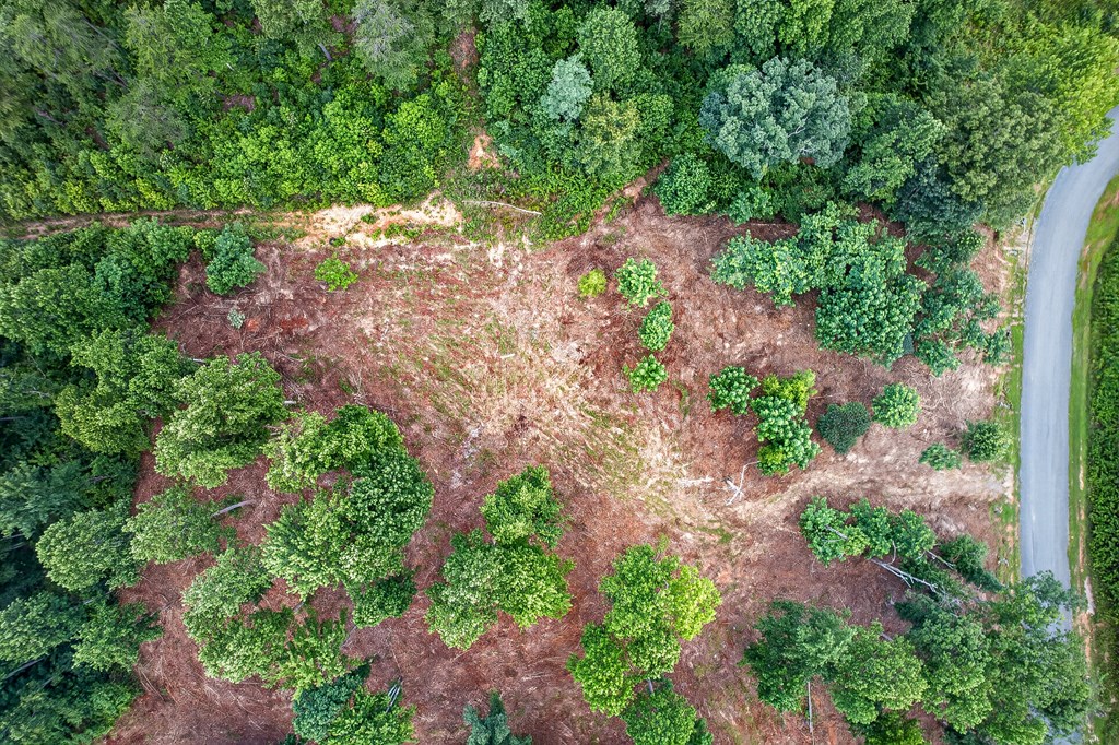 LT 227 Vineyard At Yukon