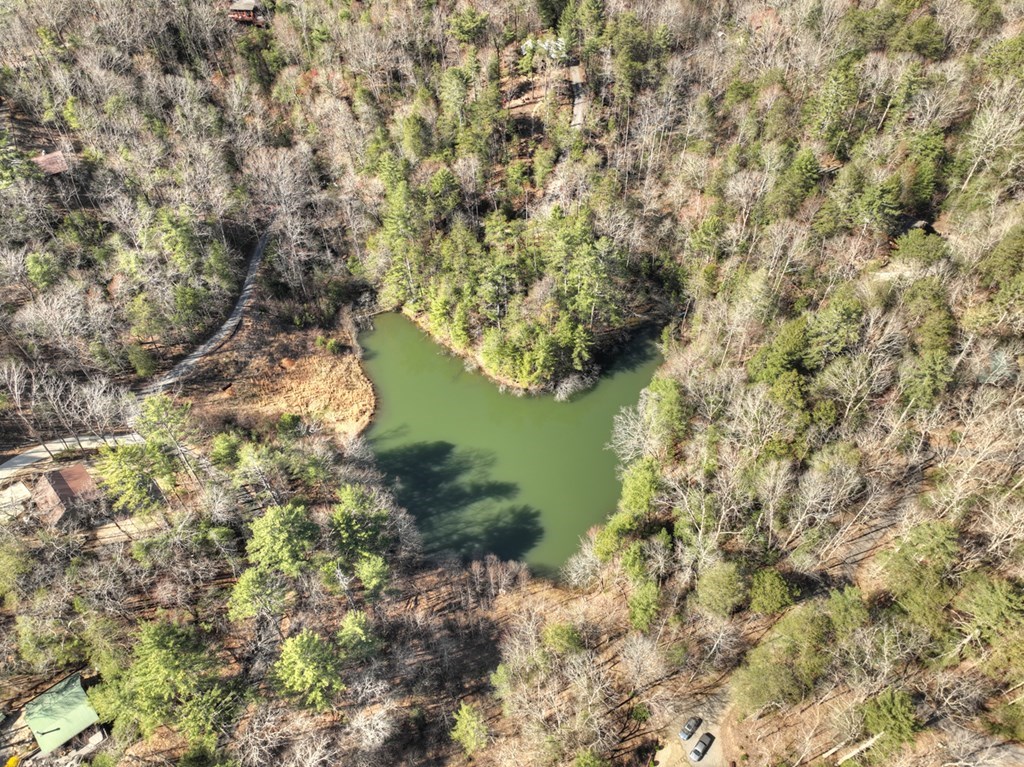 1480 Hidden Lake Drive