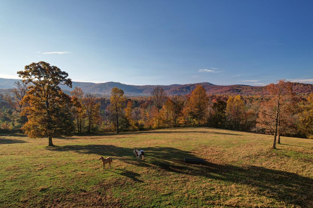 2086 Burnt Mountain Road