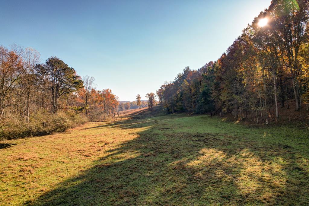 2086 Burnt Mountain Road