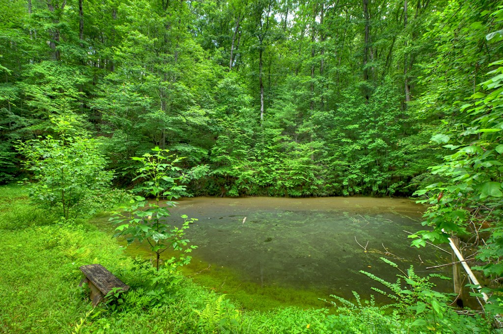 600 Conasauga Road