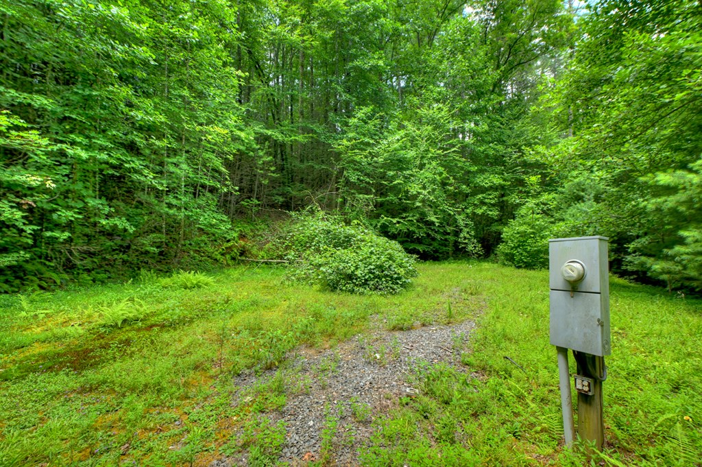 600 Conasauga Road