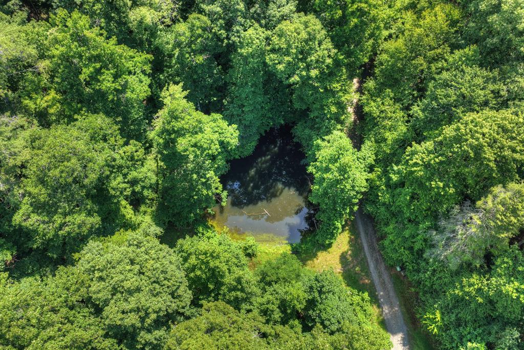 600 Conasauga Road