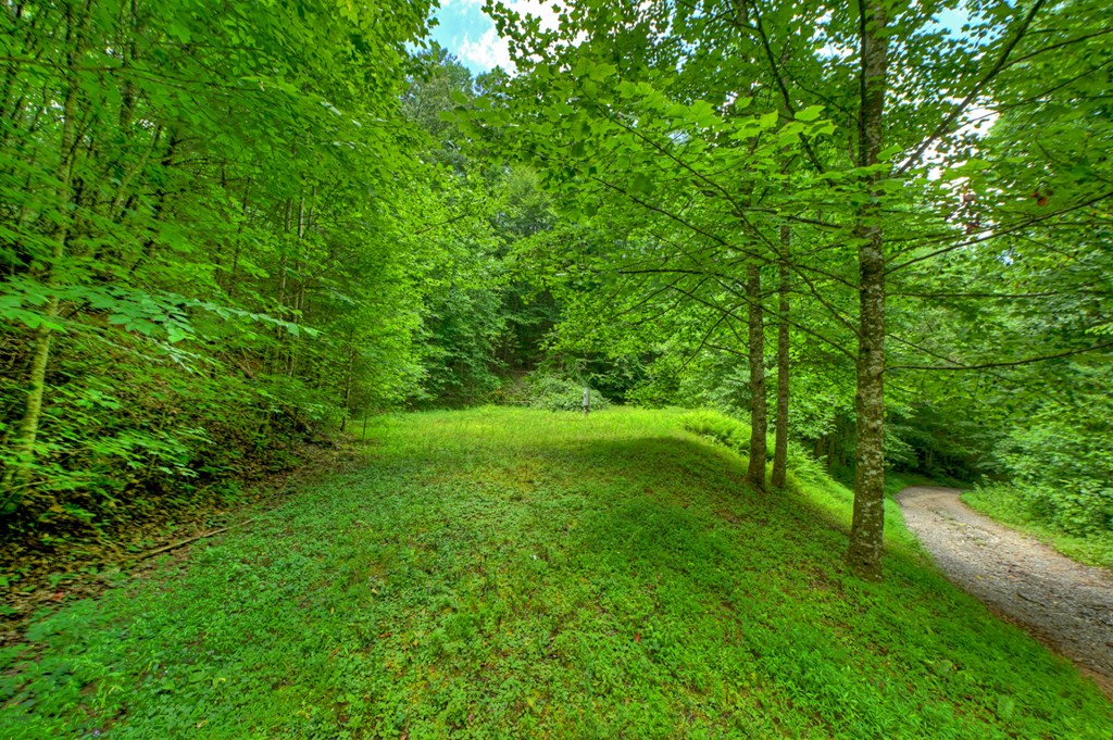 600 Conasauga Road