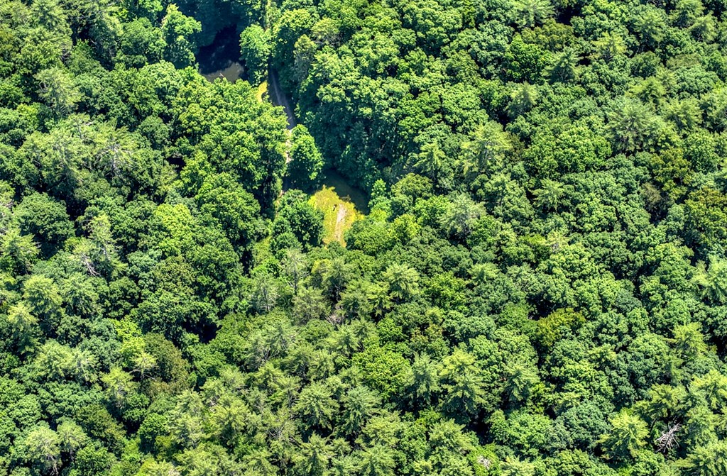 600 Conasauga Road