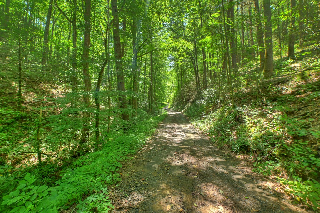 600 Conasauga Road