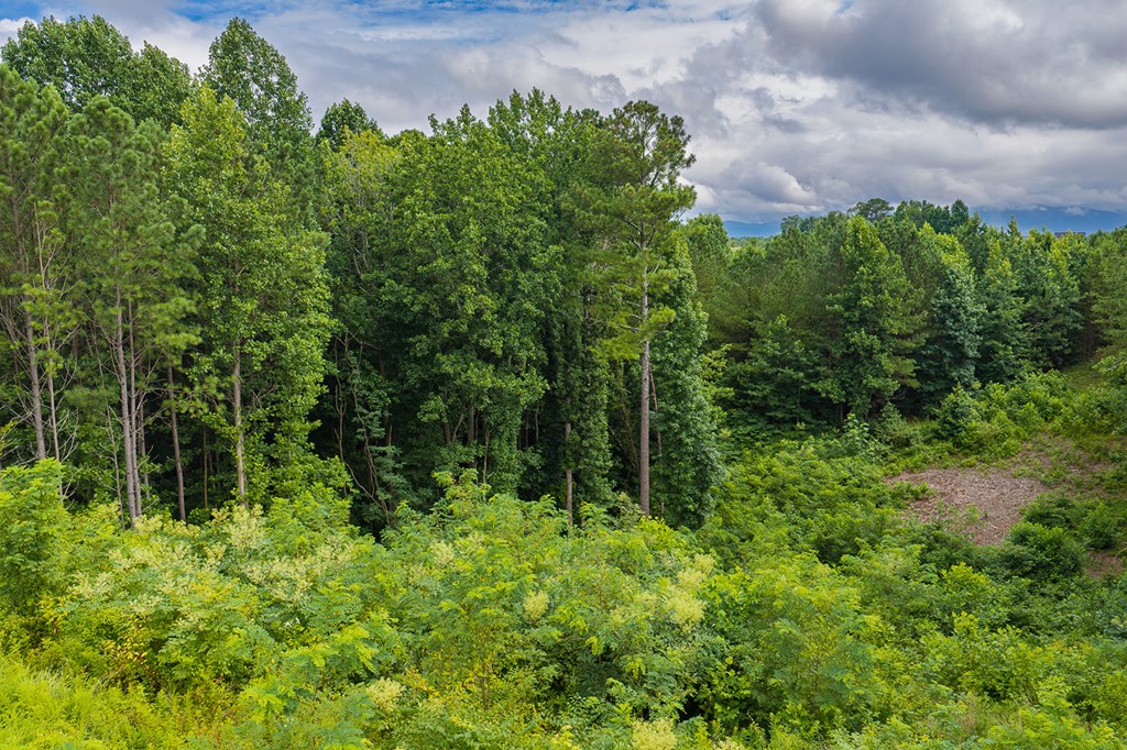 2027 Pleasant Valley Road