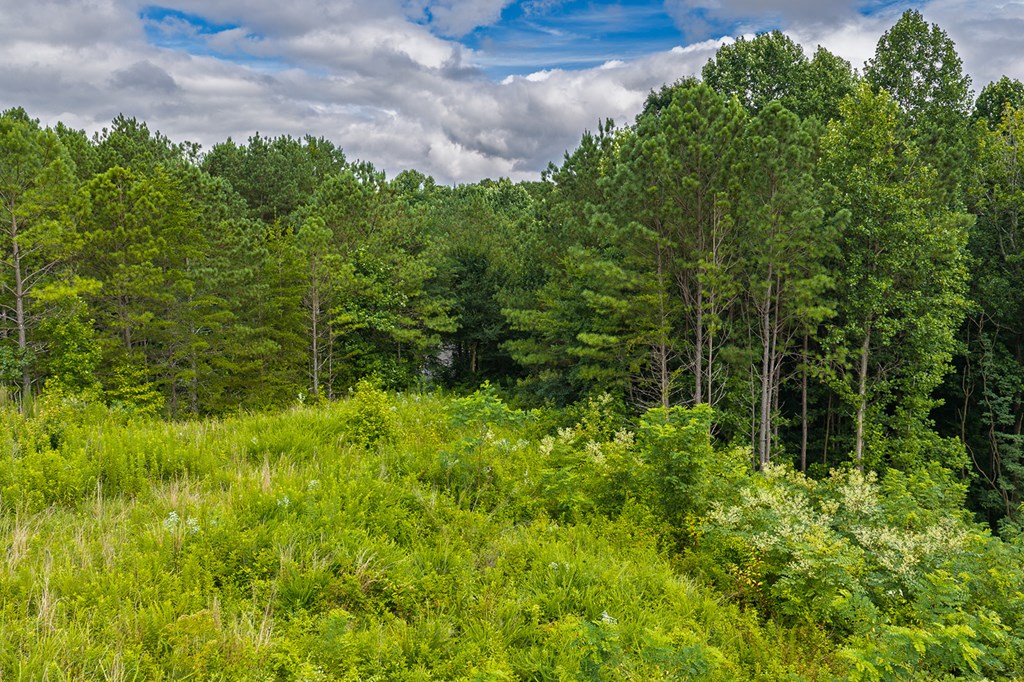 2027 Pleasant Valley Road
