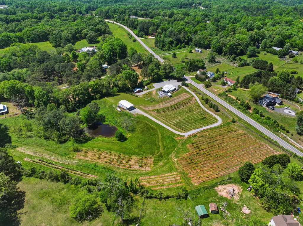 2317 Hwy 382