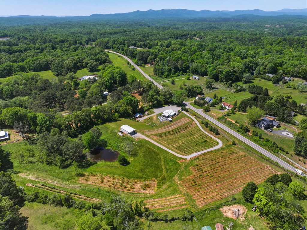 2317 Hwy 382