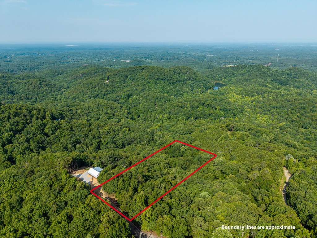 294 Adair Drive