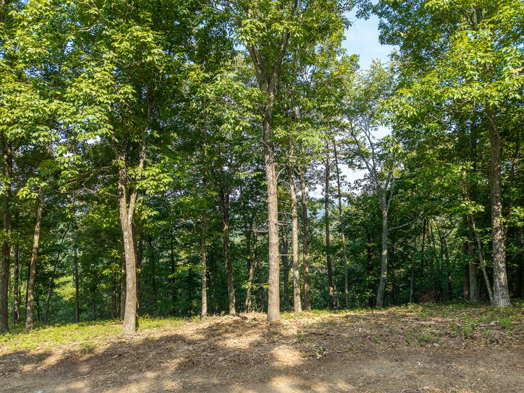 294 Adair Drive