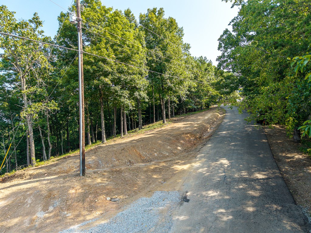 294 Adair Drive