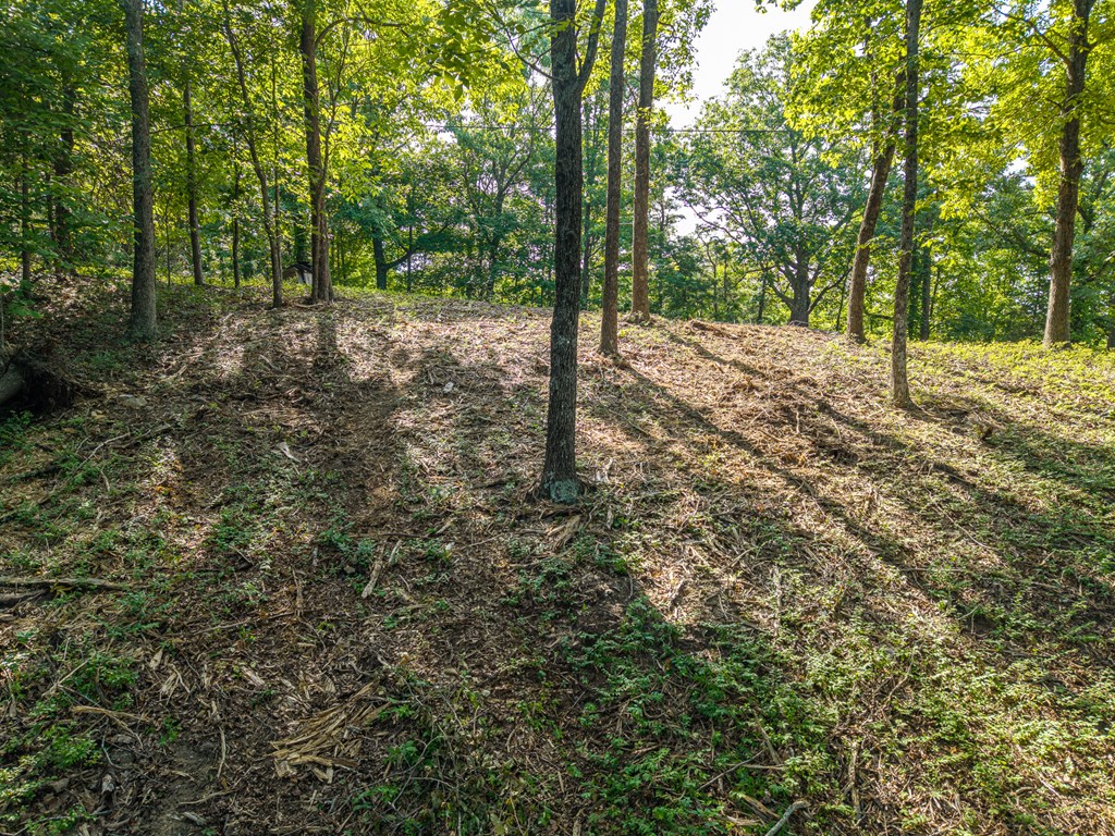 294 Adair Drive