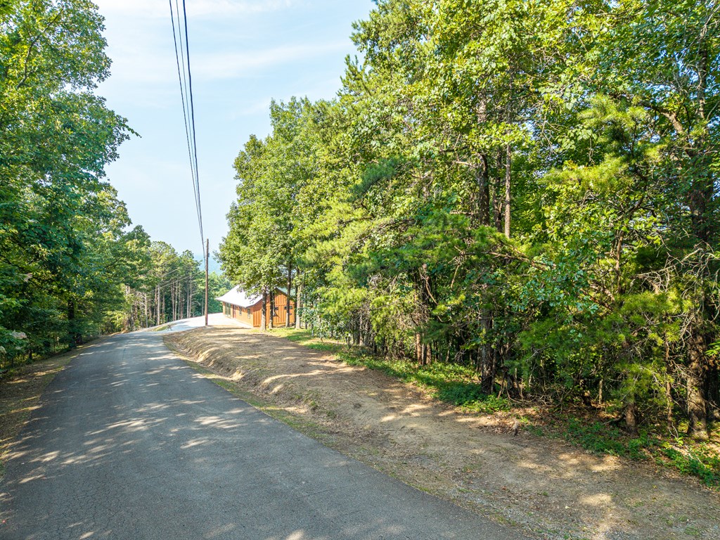 294 Adair Drive