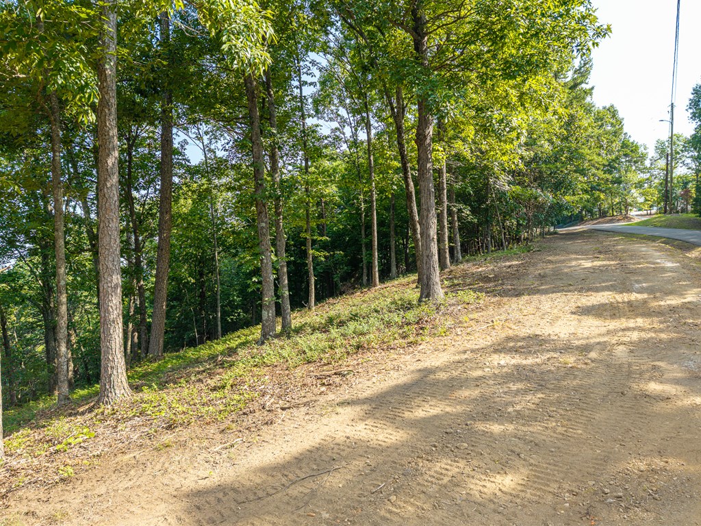 294 Adair Drive