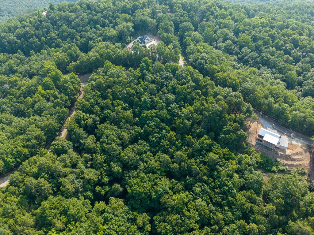 294 Adair Drive