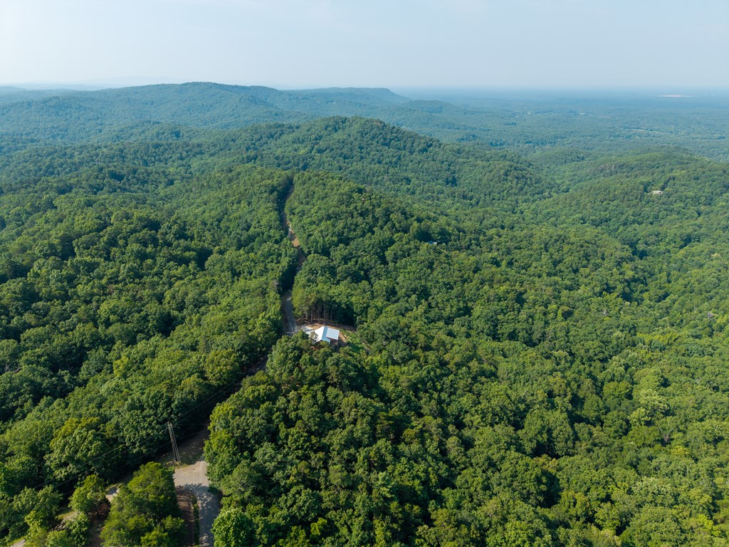 294 Adair Drive