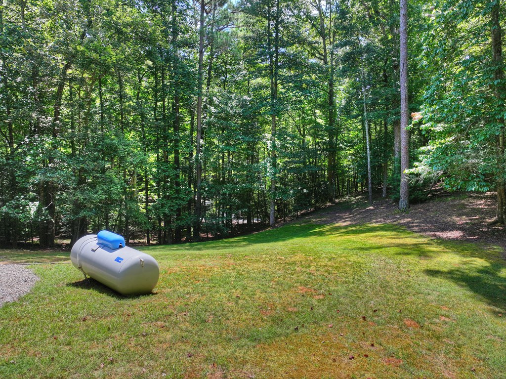 199 Hillsdale Drive