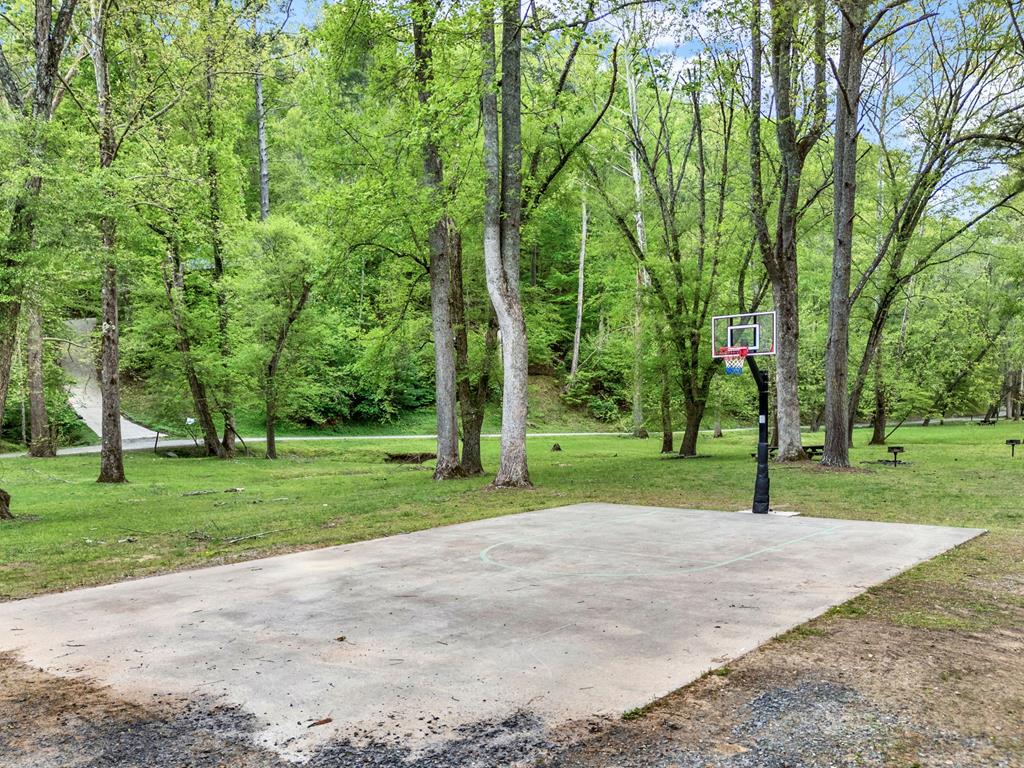 199 Hillsdale Drive