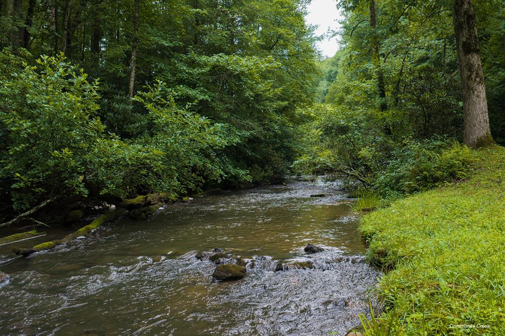 196 Creek Camp Road