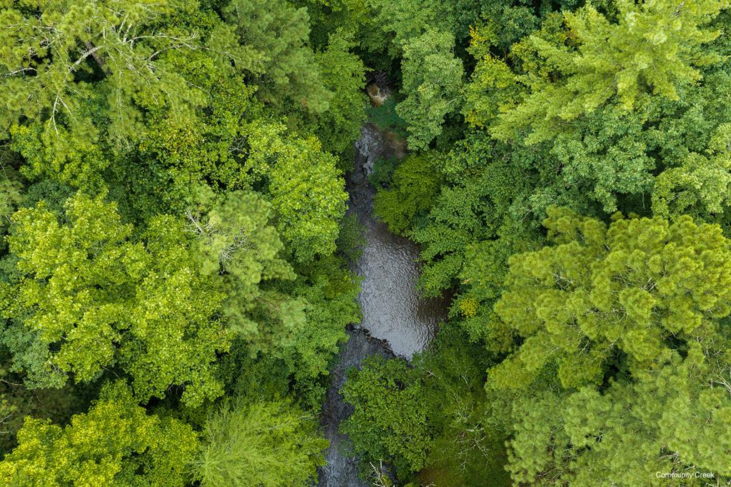 196 Creek Camp Road