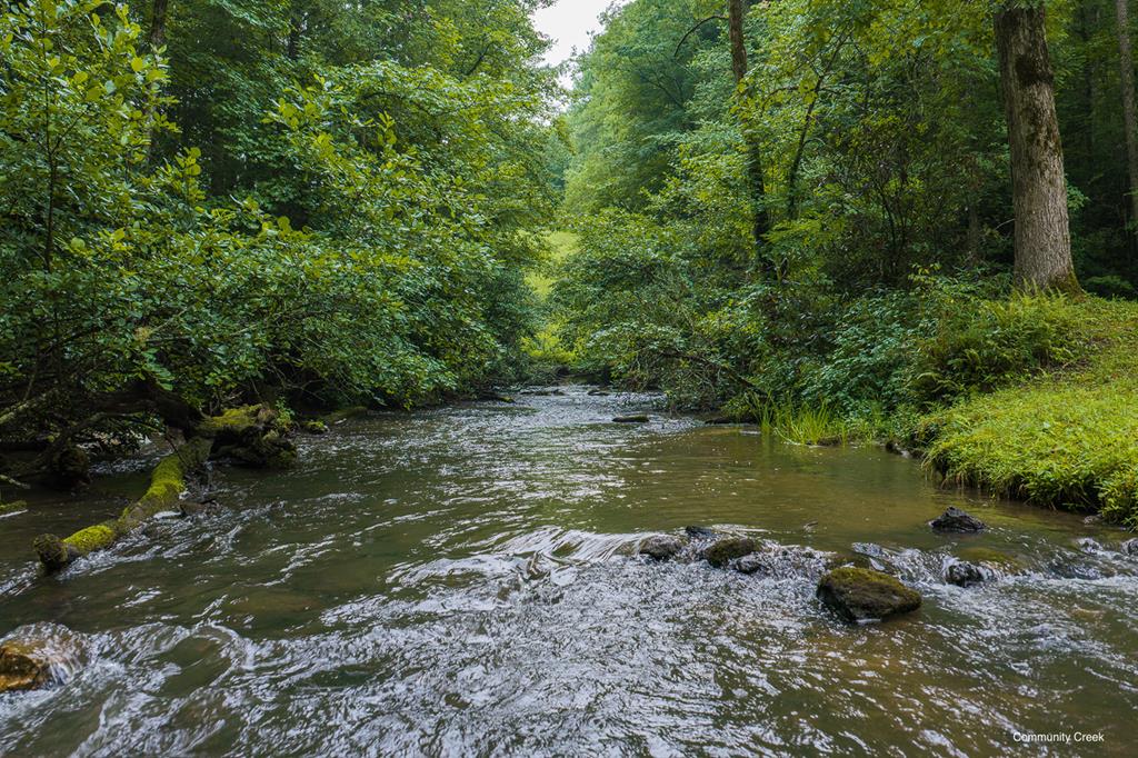 196 Creek Camp Road