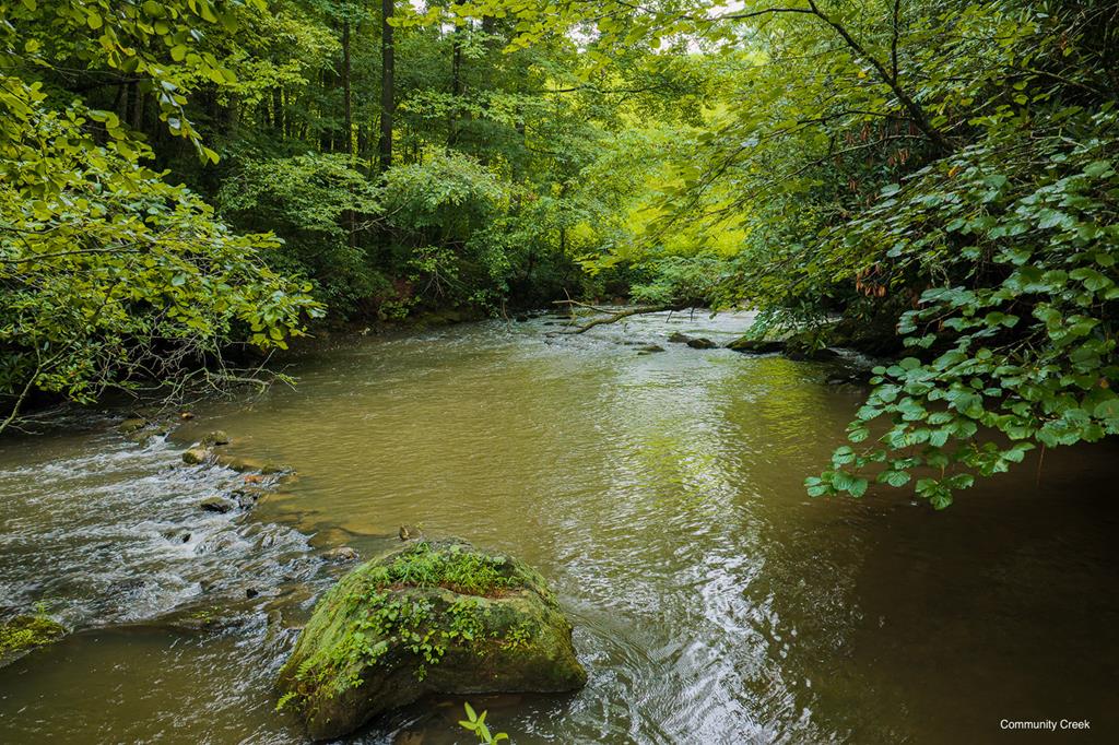 196 Creek Camp Road