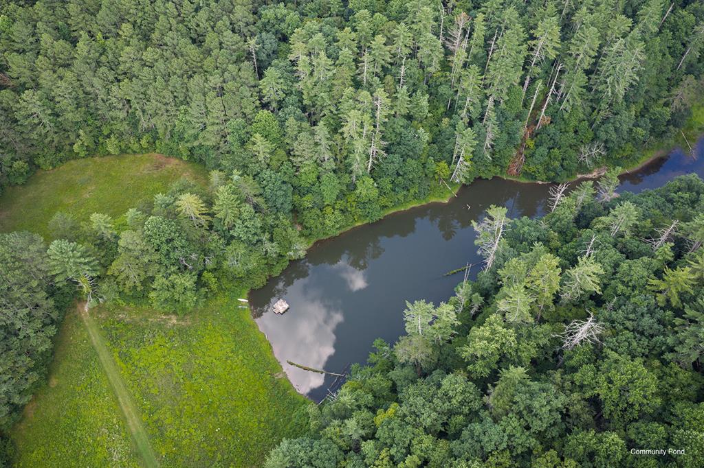 196 Creek Camp Road