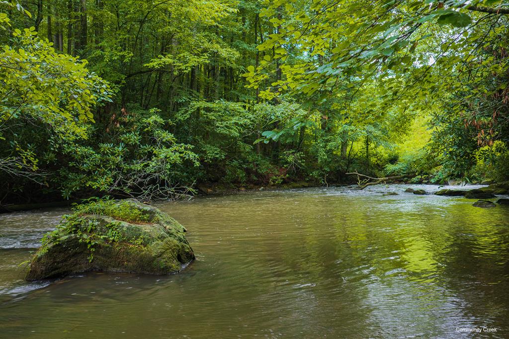 196 Creek Camp Road
